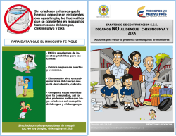 Sin criaderos evitamos que la hembra deposite en recipientes con