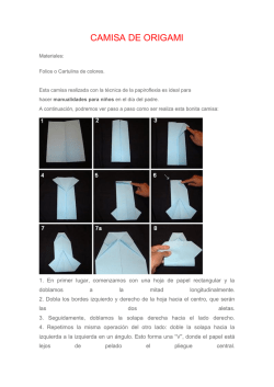 CAMISA DE ORIGAMI