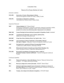 Curriculum Vitae Mauricio De la Puente