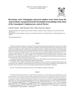 Descargar art&iacute;culo en formato PDF