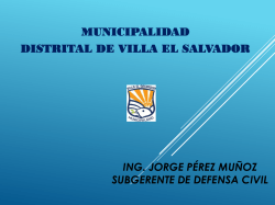 MUNICIPALIDAD DISTRITAL DE VILLA EL SALVADOR