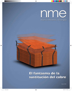 ToroSpector1 - Revista Nueva Miner&iacute;a y Energ&iacute;a