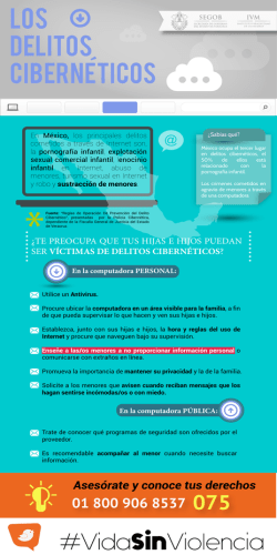 los delitos ciberneticos - Representaci&oacute;n del Gobierno del Estado