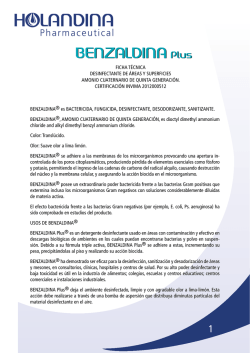 Especificaciones t&eacute;cnicas