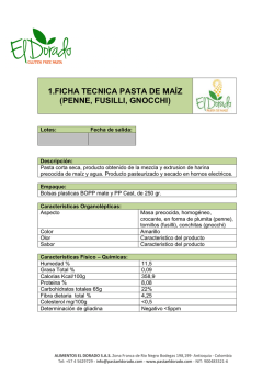1.FICHA TECNICA PASTA DE MA&Iacute;Z (PENNE, FUSILLI, GNOCCHI)