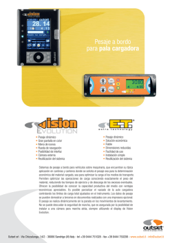 Sistema Pesaje Palas Cargadoras