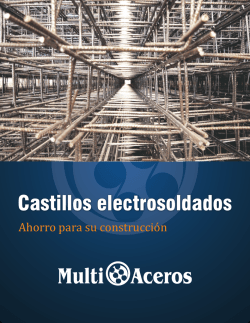 Ficha Tecnica Castillo