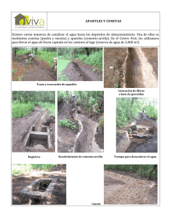 APANTLES Y CUNETAS Existen varias maneras de canalizar el
