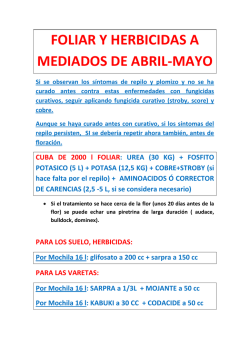 foliar y herbicidas a mediados de abril-mayo