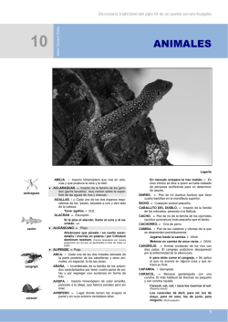 Diccionario tradicional del siglo XX de un pueblo