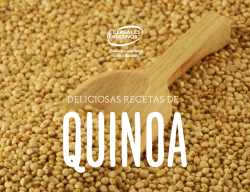 DELICIOSAS RECETAS DE