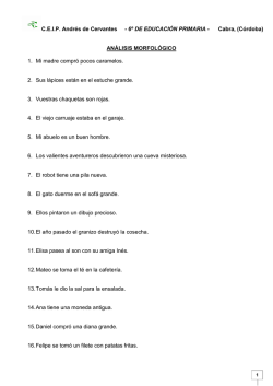 6&ordm; AN&Aacute;LISIS MORFOL&Oacute;GICO