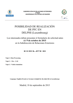 POSIBILIDAD DE REALIZACI&Oacute;N DE PFC EN DELPHI (Luxembourg)