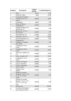 Renglon Descripcion Unidad Medida Cantidad/Importe 1 Grava