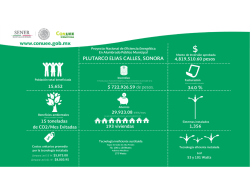 General Plutarco El&iacute;as Calles