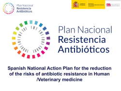 Presentation B. Crespo Sanchez