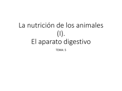 La nutrici&oacute;n de los animales (I). El aparato digestivo
