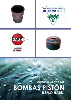 Repuestos adaptables Bombas Pist&oacute;n ILEMO