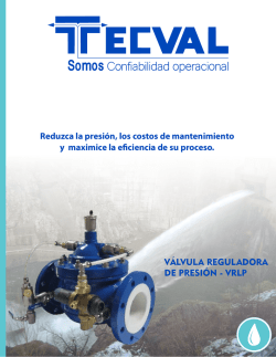 FICHA T&Eacute;CNICA VRLP.cdr