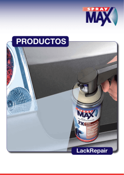 Pintura base / Acabado