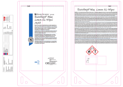 EuroSept? Max Lemon XL-Wipes