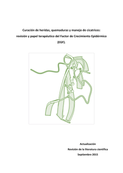 Revision Heridas Quemaduras Cicatrices JE