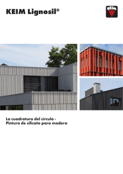 KEIM Lignosil&reg;