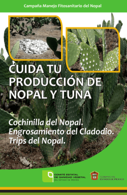 CUIDA TU PRODUCCI&Oacute;N DE NOPAL Y TUNA