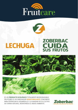 Folleto FRUITCARE Lechuga