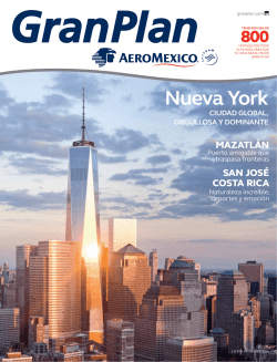 Gran Plan Aeromexico - Pagos Grupo Expansi&oacute;n