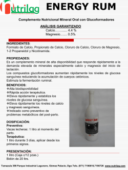 folleto energy rum