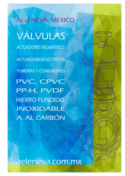 AELENEVA M&Eacute;XICO