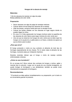 Descargar el documento