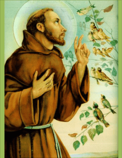 Bolet&iacute;n N&deg; 27 - Colegio Santa Ines