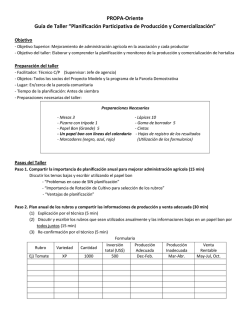 PROPA-Oriente Gu&iacute;a de Taller &ldquo;Planificaci&oacute;n Participativa