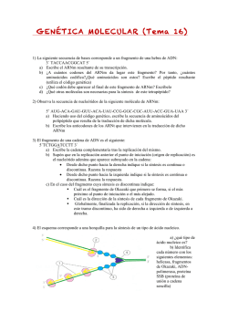 GEN&Eacute;TICA MOLECULAR (Tema 16)
