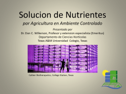 Solucion de Nutrientes