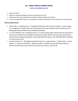 mi isabel araceli amaro espejo - Instituto Tecnol&oacute;gico de Boca del R&iacute;o