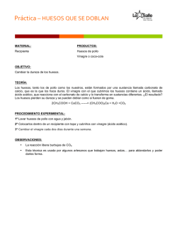 Pr&aacute;ctica &ndash; HUESOS QUE SE DOBLAN