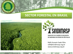 SECTOR FORESTAL EN BRASIL