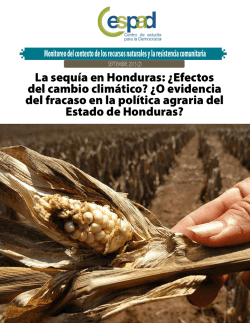 Informe Monitoreo RRNN 2