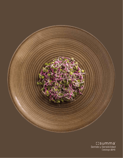 Descargar cat&aacute;logo Summa