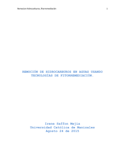 REMOCI&Oacute;N DE HIDROCARBUROS EN AGUAS USANDO