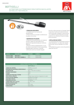 Botticelli - Edilportale