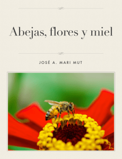 &iquest;C&oacute;mo es la caja de abejas?