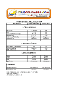 ficha t&eacute;cnica miel de ca&ntilde;a