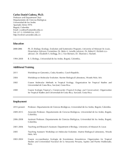 CV English - Universidad de los Andes