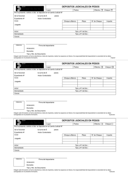 Formulario para dep&oacute;sitos judiciales.