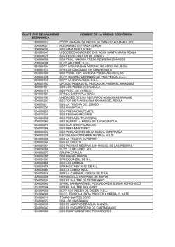 CLAVE RNP DE LA UNIDAD ECON&Oacute;MICA