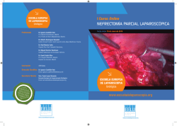 Descargar Folleto - Curso Nefrectom&iacute;a Laparosc&oacute;pica